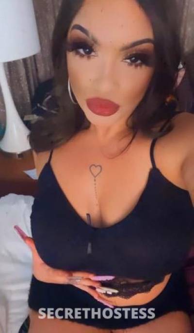 Sophie 23Yrs Old Escort Stockton CA Image - 5