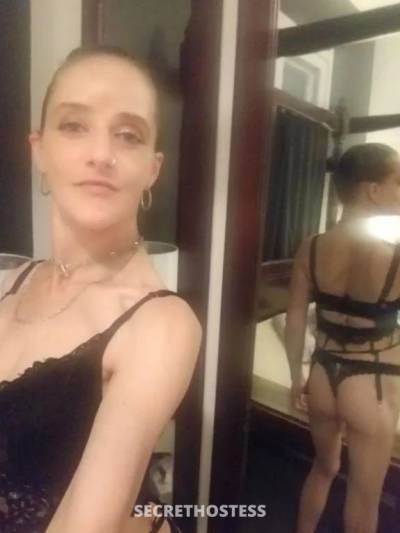 31 year old Escort in Birmingham Gardens Newcastle I'm young, hot an waiting for you to get me wet