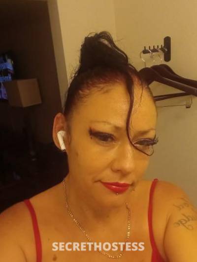 43Yrs Old Escort Miami FL Image - 1