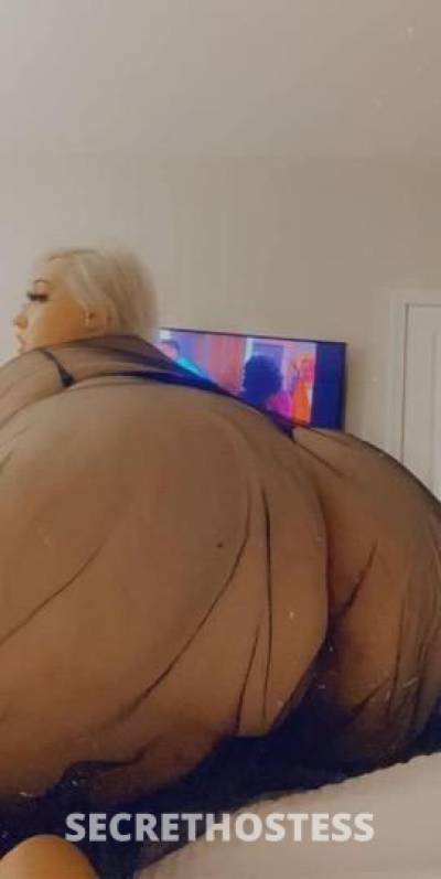 Ariesthemoonsucker 27Yrs Old Escort Buffalo NY Image - 6
