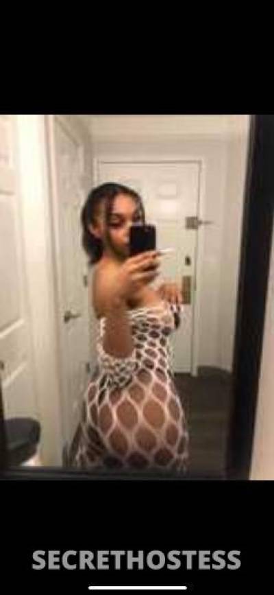 Ashley 23Yrs Old Escort Carlsbad NM Image - 2