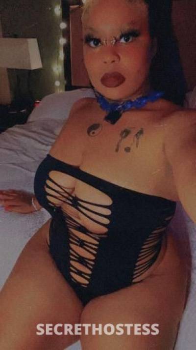 Cookie 24Yrs Old Escort Florence SC Image - 3