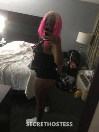 Goddess 22Yrs Old Escort Charlotte NC Image - 6