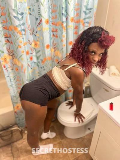 Laya 26Yrs Old Escort Columbus OH Image - 2