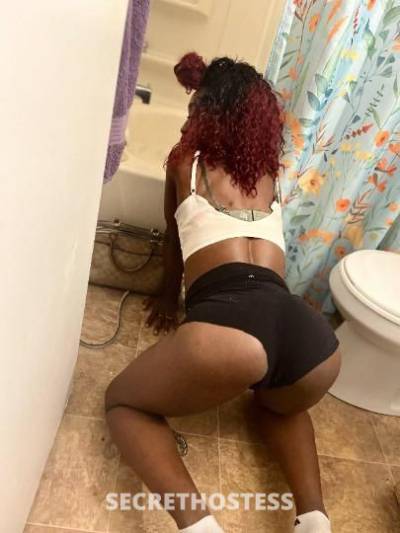 Laya 26Yrs Old Escort Columbus OH Image - 11