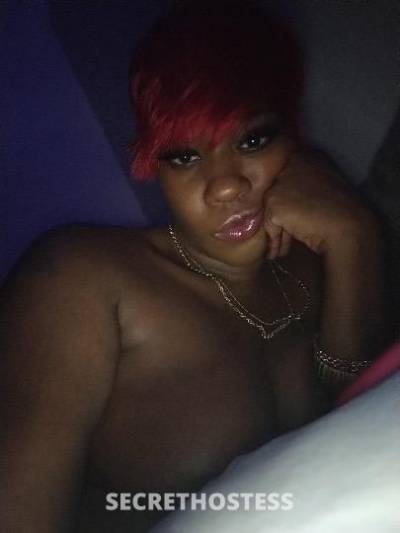 Star 23Yrs Old Escort Norfolk VA Image - 0