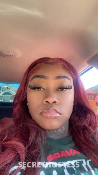 Theory 25Yrs Old Escort Milwaukee WI Image - 3