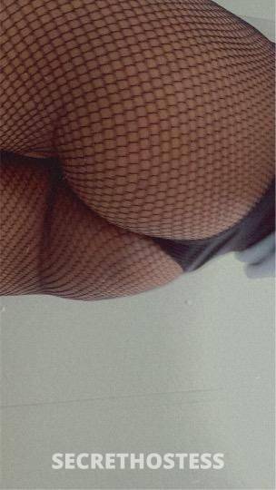 Brandy 23Yrs Old Escort Gainesville FL Image - 1