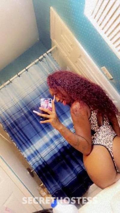 21Yrs Old Escort Houston TX Image - 1