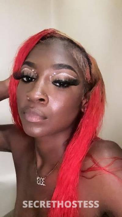 Must he money ready sexy slim patite caramel girl in Shreveport LA