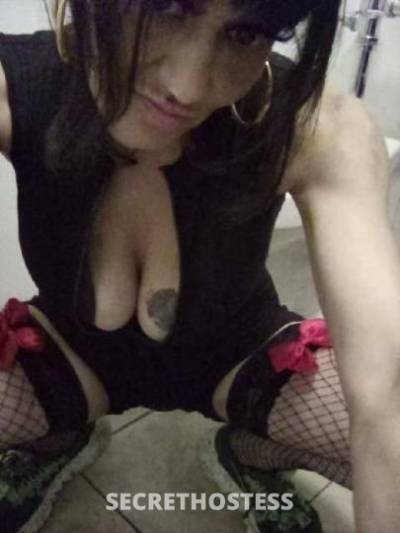 43Yrs Old Escort Chicago IL Image - 2