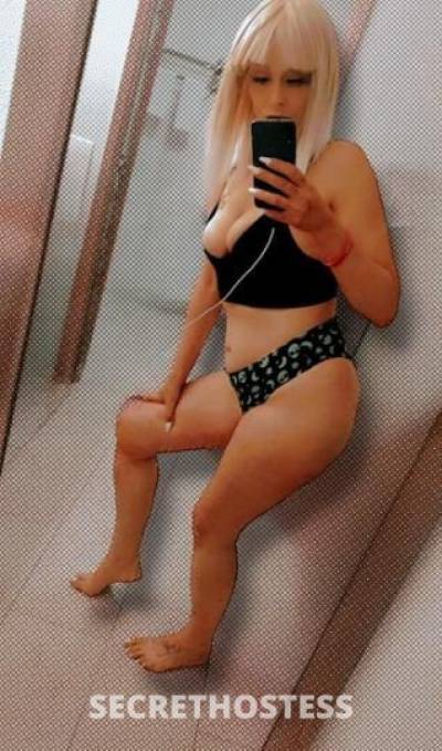 Amber💎Gold'eluxxx 28Yrs Old Escort North Bay CA Image - 0