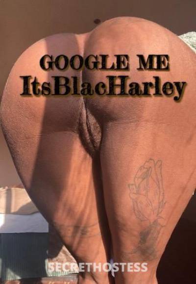 27 year old Escort in Birmingham AL ? It's Blac Harley ✨ Your Favorite ? LEAVING IN THE 