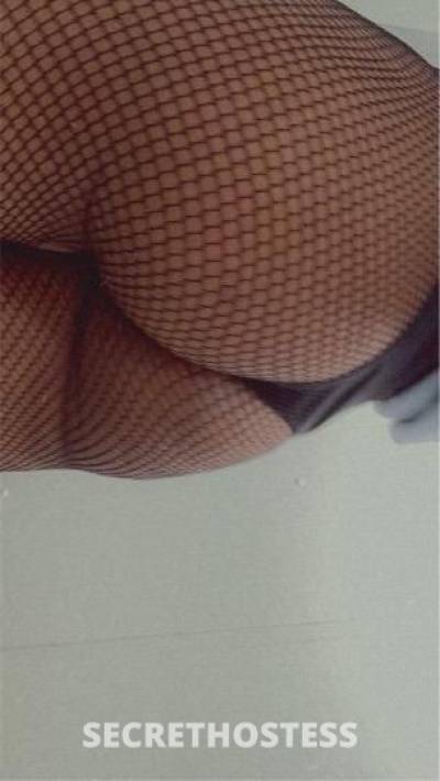Brandy 23Yrs Old Escort Gainesville FL Image - 1