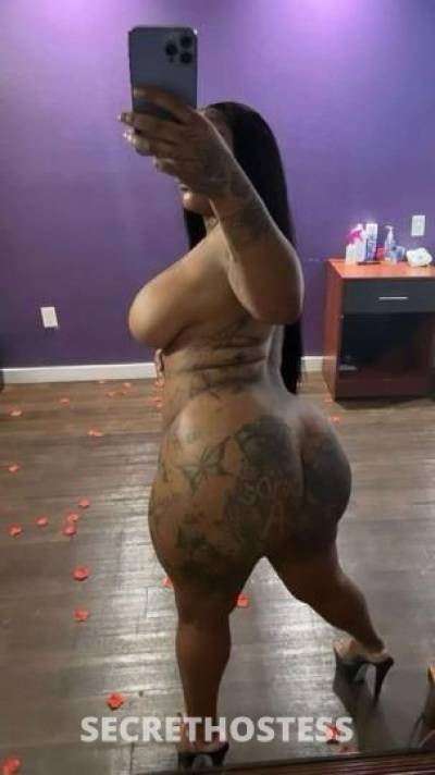 Bunz 28Yrs Old Escort Santa Barbara CA Image - 1