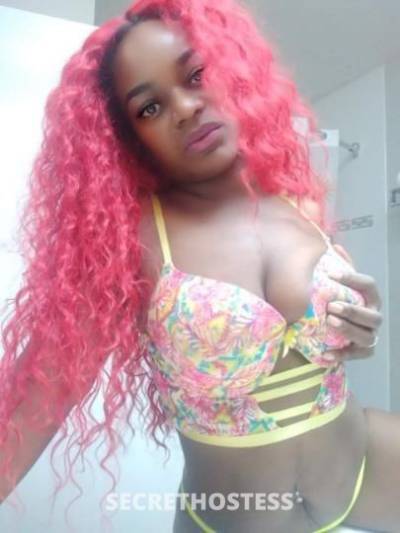 CaribbeanPlayDoll 26Yrs Old Escort Orlando FL Image - 4