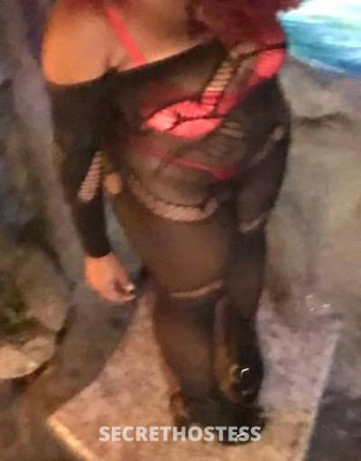 24 year old Escort in Miami FL New in town✅?? freaky thick ebony?✅??outcalls/cardates