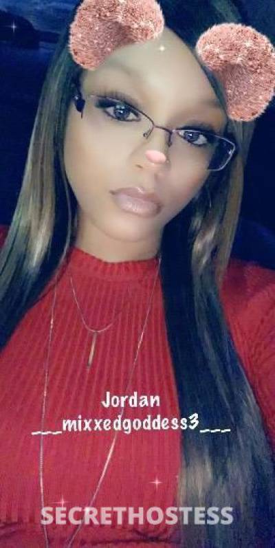 JordanB 27Yrs Old Escort Concord CA Image - 2