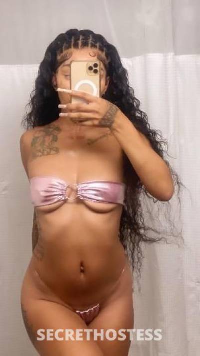 Kai 23Yrs Old Escort San Fernando Valley CA Image - 4