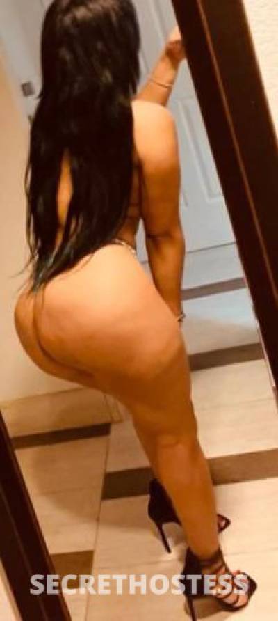 Katyy 26Yrs Old Escort Miami FL Image - 3