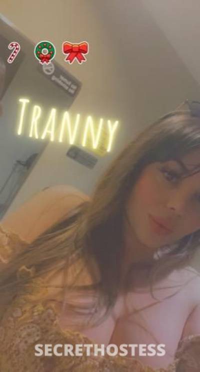 Latinatranny 24Yrs Old Escort Palm Springs CA Image - 3