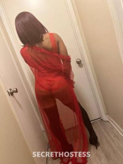 Mariee 20Yrs Old Escort Concord CA Image - 6