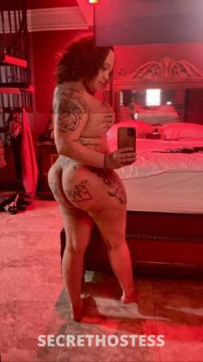 MsPacman 36Yrs Old Escort Miami FL Image - 4