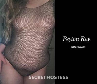 PEYTONRAY 23Yrs Old Escort Edmonton Image - 6