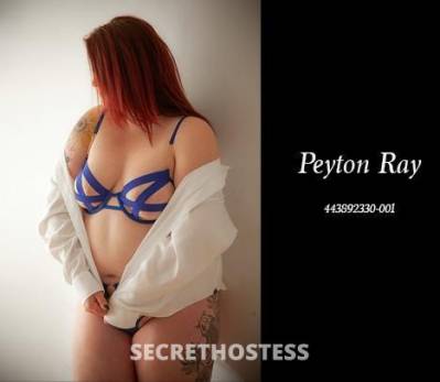 PEYTONRAY 23Yrs Old Escort Edmonton Image - 7