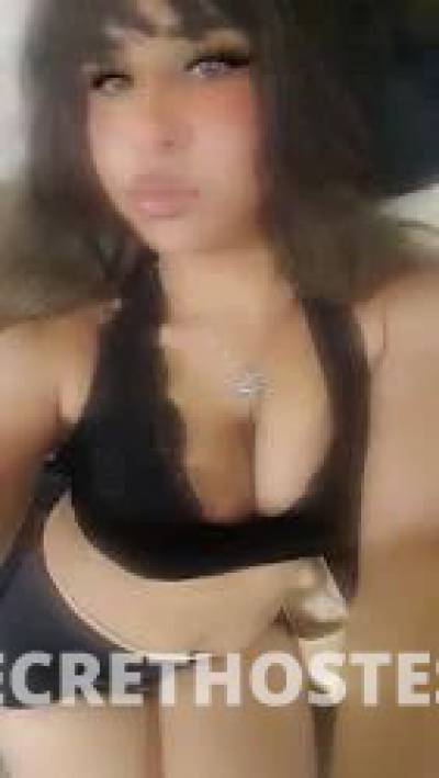 Pearl London 24Yrs Old Escort Edmonton Image - 1