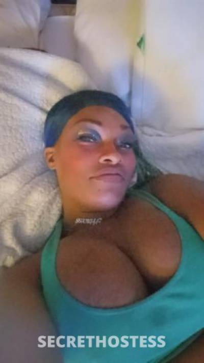 Remy.A 28Yrs Old Escort Tucson AZ Image - 1