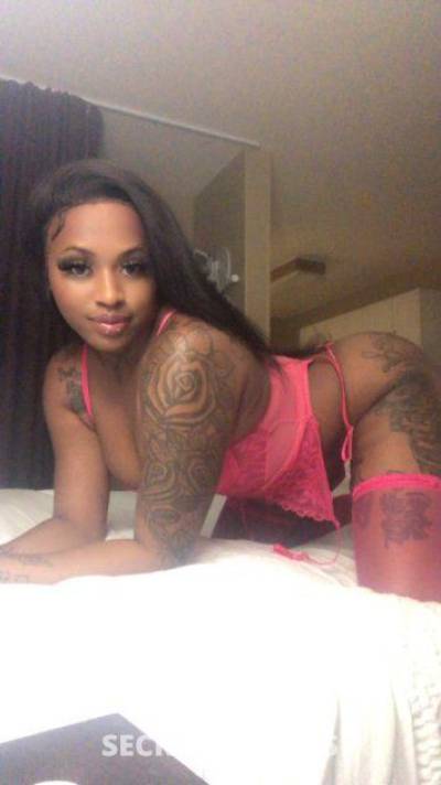 21Yrs Old Escort 162CM Tall Wilmington NC Image - 1