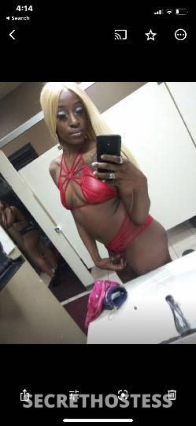 23Yrs Old Escort Jacksonville FL Image - 2