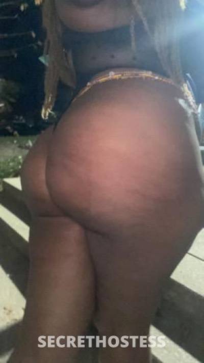 34Yrs Old Escort Houston TX Image - 3