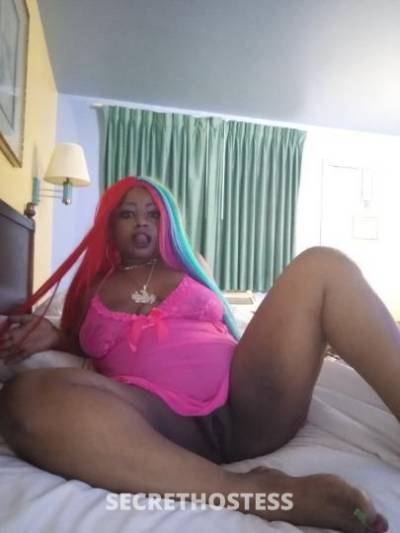 CaramelSundae 26Yrs Old Escort 160CM Tall Killeen TX Image - 7