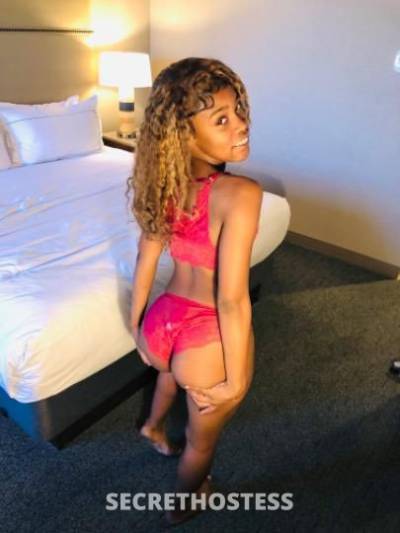 Chanel💕 21Yrs Old Escort Dallas TX Image - 0