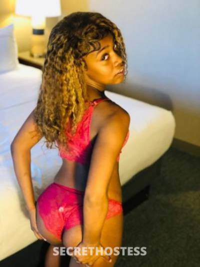 Chanel💕 21Yrs Old Escort Dallas TX Image - 2