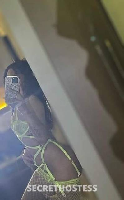 Cyn 23Yrs Old Escort Bakersfield CA Image - 3