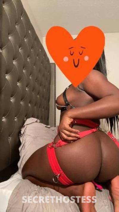 Geniebunz 23Yrs Old Escort Providence RI Image - 2