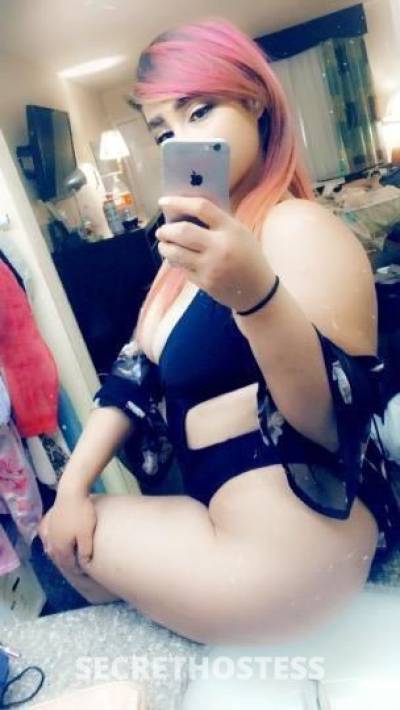 Kitty 24Yrs Old Escort San Antonio TX Image - 4