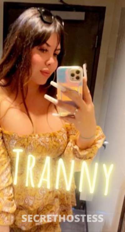 Latinatranny 24Yrs Old Escort Palm Springs CA Image - 1