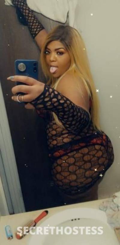 Mz.Lollipopz🍭juicey 29Yrs Old Escort Little Rock AR Image - 3