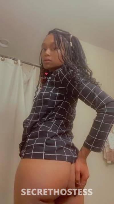 Shyne 19Yrs Old Escort South Jersey NJ Image - 2