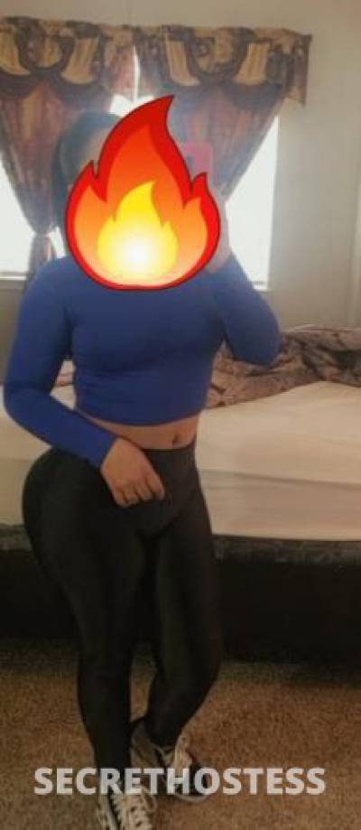 Sofia 29Yrs Old Escort Albuquerque NM Image - 1