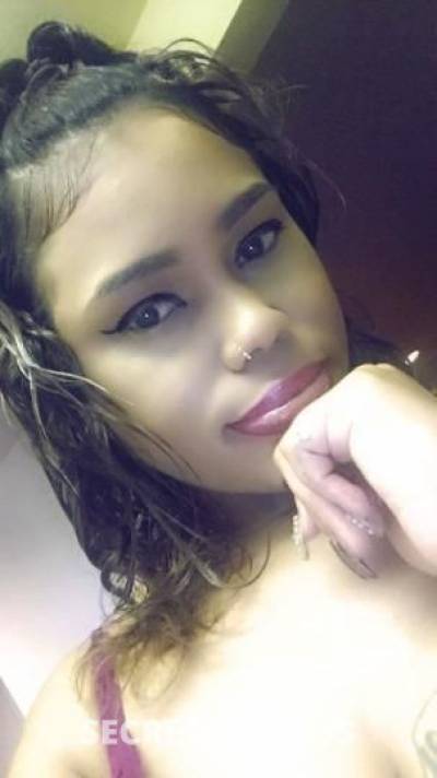 Treasure 27Yrs Old Escort Oakland CA Image - 0