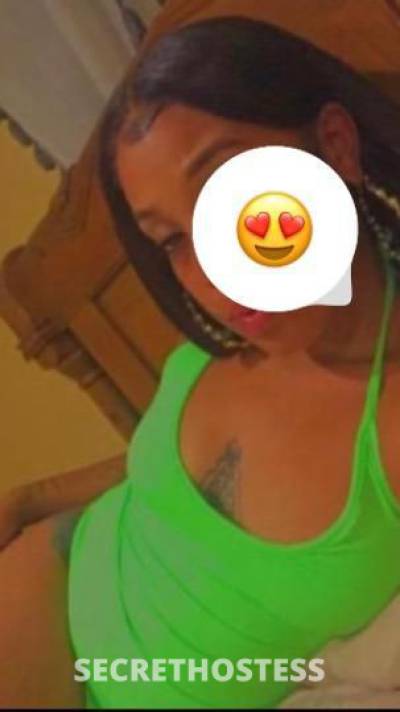 21 year old Australian Escort in West Palm Beach FL New in town available to have a pleasent moment with you 