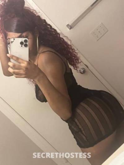 21Yrs Old Escort 170CM Tall Sacramento CA Image - 1