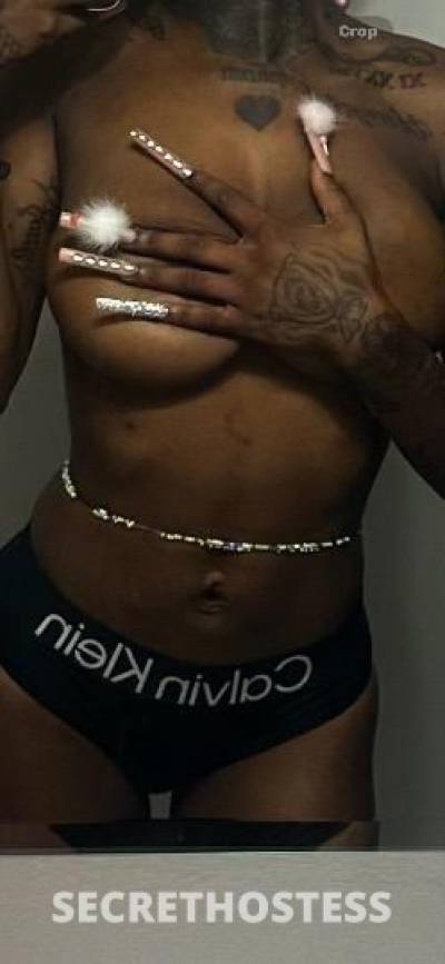 24Yrs Old Escort Los Angeles CA Image - 1