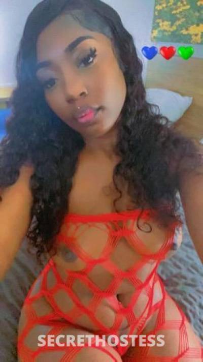 24Yrs Old Escort Miami FL Image - 0