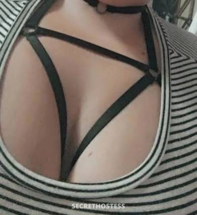 34 year old Escort in Anula Darwin Girl next door wet and horny Jessica